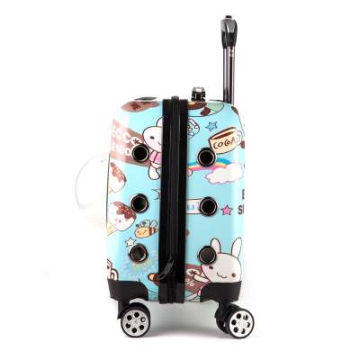 Air approved outdoor carry on wheel case space capsule astronaut dog cat travel luggage suitcase bag trolley rolling pet carrier